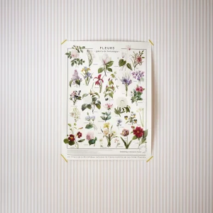 Affiche Fleurs - Collection Les Jolies Planches