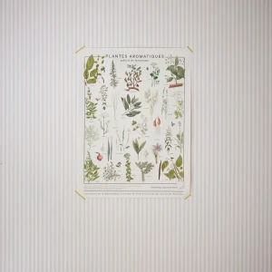 Affiche Plantes Botaniques - Collection Les Jolies Planches