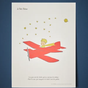 Affiche Petit Prince Avion - Oneart