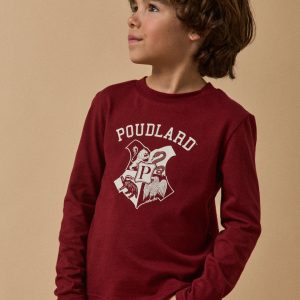 Tee-shirt Enfant Collection Harry Potter - Coton biologique