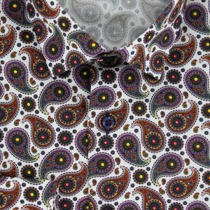 Chemise cintrée cachemire print